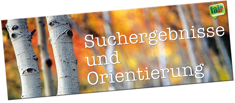 organic search ergebnisse optimieren